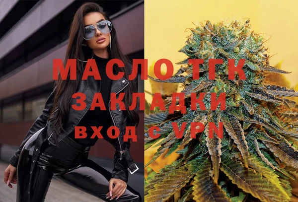 шишки Богородицк